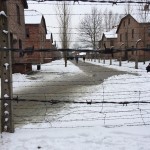 A Barbed wire fence at Auschwitz.